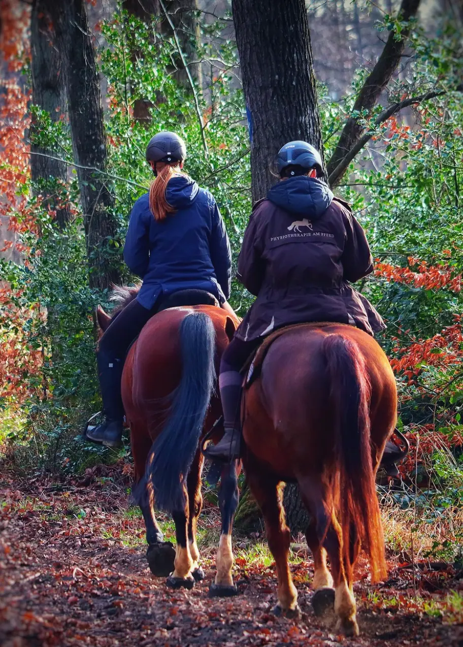 Activités à cheval