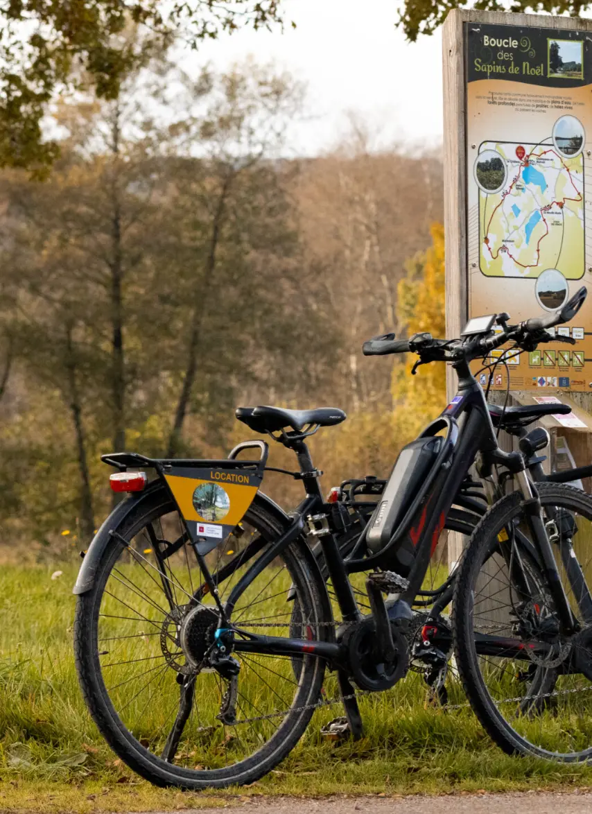 Activités à vélo